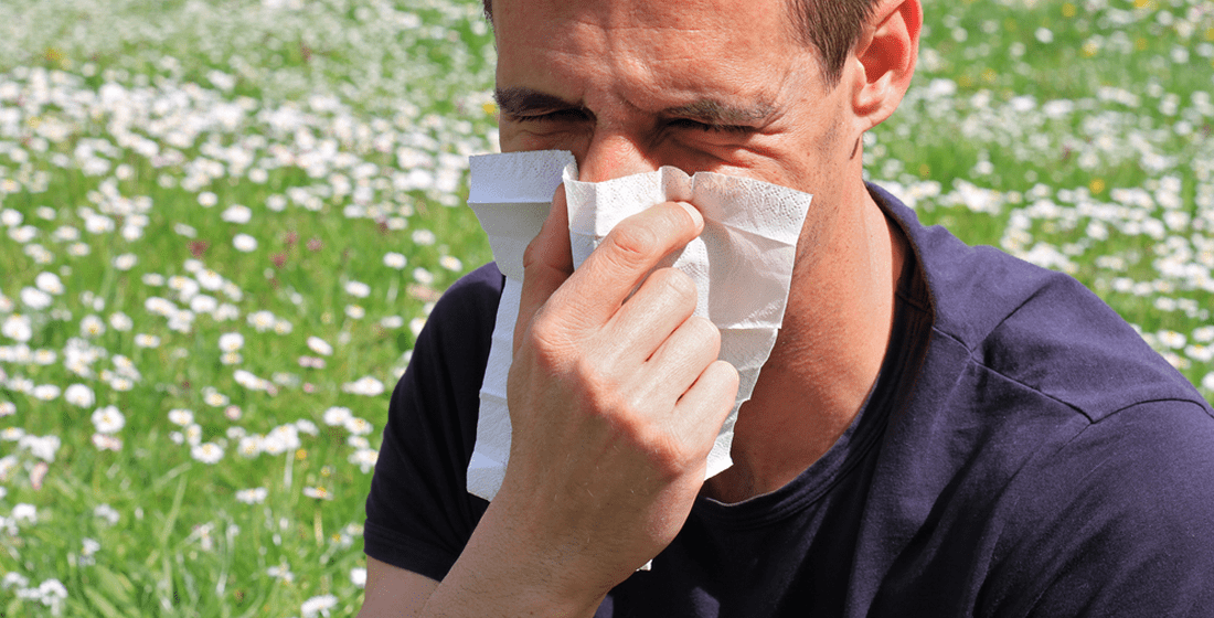 What You Need to Know About Pollen Allergies, ENT of Georgia North