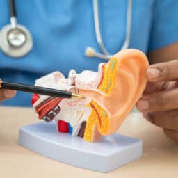 Doctor showing a diagram of an ear